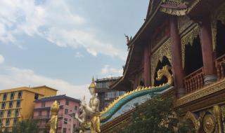 昆明到西双版纳汽车