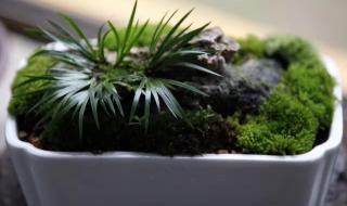 六月美句经典的话