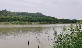 亚运城天骄开发商