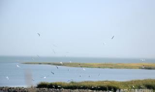 博斯腾湖位于哪个县 博斯腾湖位于哪个县